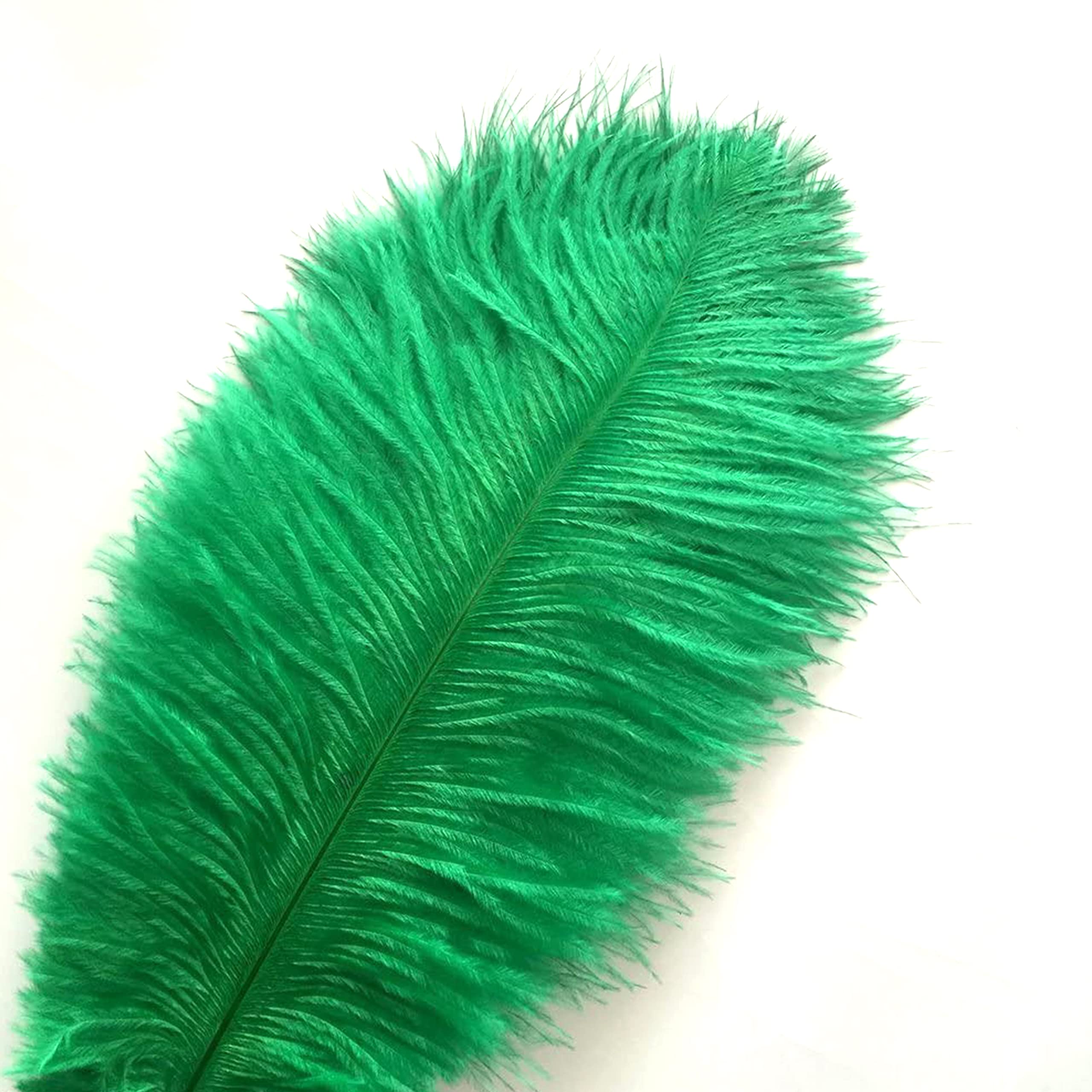 Crenze 10pcs Ostrich Feathers 12-14inch(30-35cm) for Home Wedding Decoration Offers 10 Colors