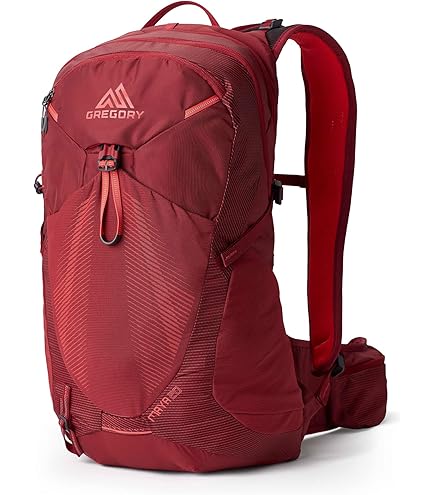 Amazon.com | Gregory (Day Pack) official Black Backpack [Japan