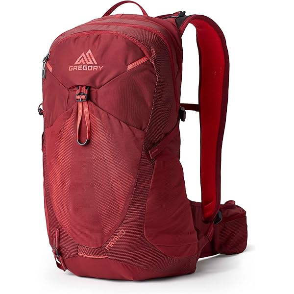 Amazon.com : Gregory Miko 20L Unisex Day Hiking Backpack