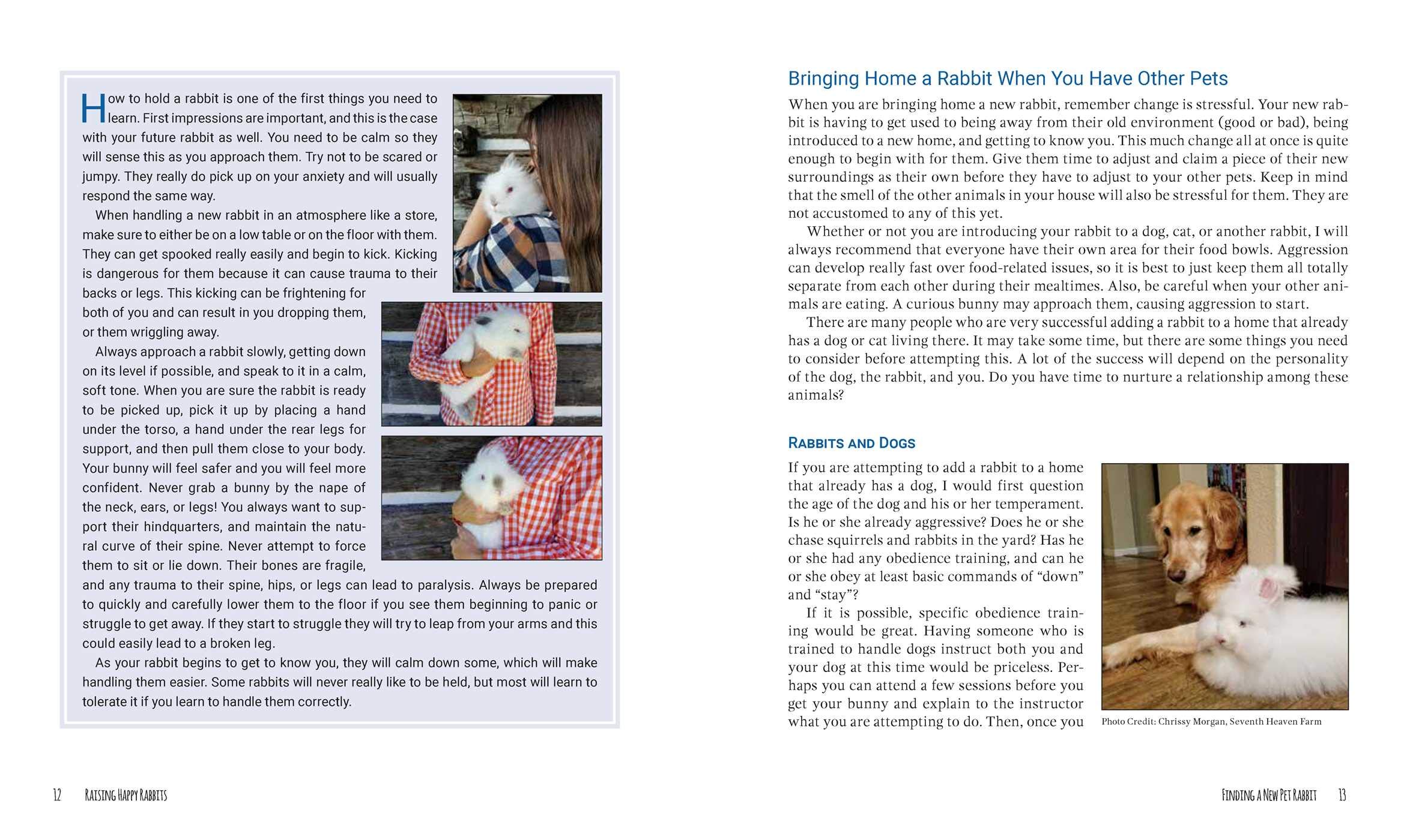 Raising Happy Rabbits: Housing, Feeding, and Care Instructions for Your Rabbit's First Year