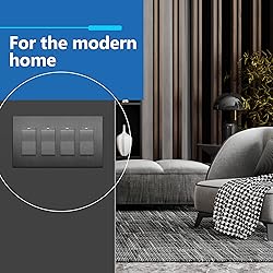 LIDER Brushed Finish Decorator Switch