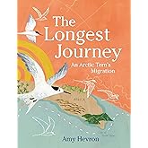 The Longest Journey: An Arctic Tern's Migration
