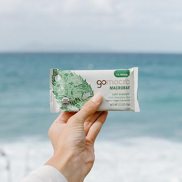 GOMACRO MACROBAR ORGANIC VEGAN PROTEIN BARS – MINT CHOCOLATE CHIP, 2.3 OUNCE BARS, (PACK OF 12)