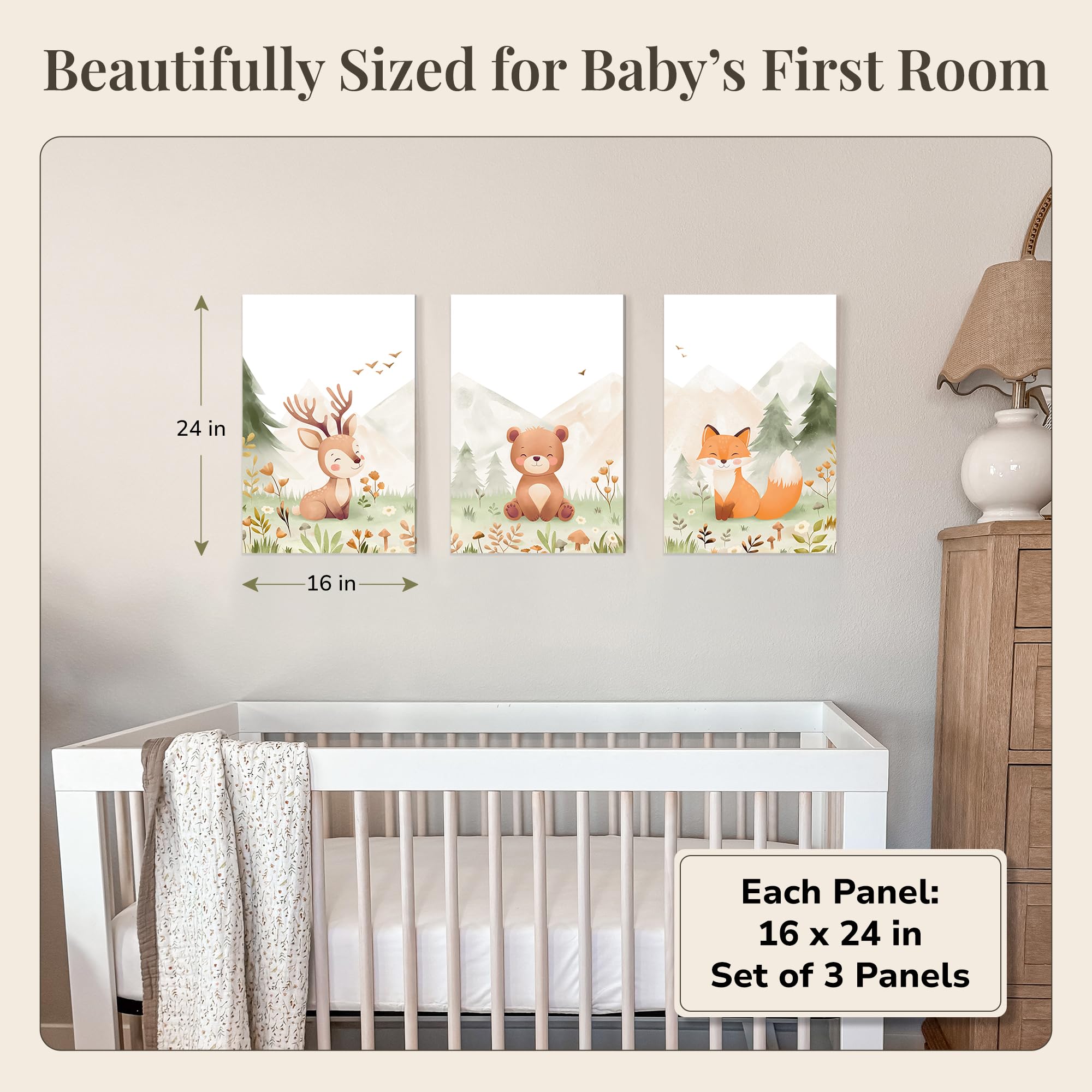 https://images-na.ssl-images-amazon.com/images/I/81MCISvKOrL.jpg