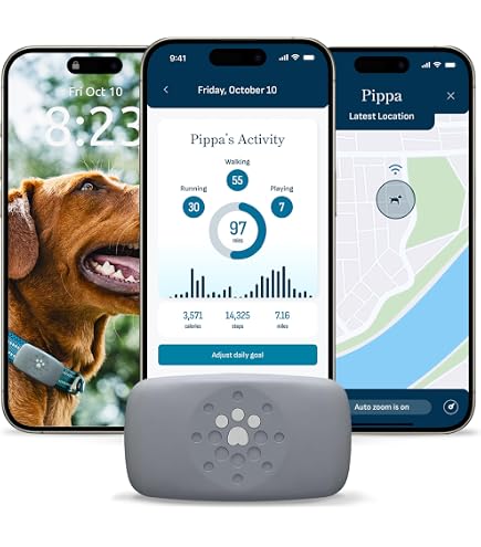 Amazon.com: Wearable4U Garmin T 5X Dog Device, Tracking and