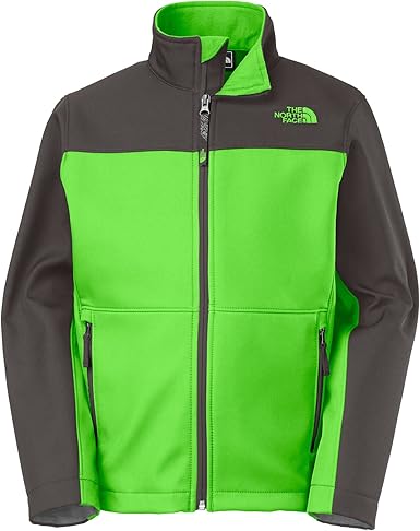 north face boys apex