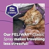 Feliway Classic Cat Calming Odourless Spray 60ml - Veterinary Suggested view 4