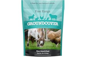 Barenbrug Free Range GroundCover Forage Seed Mixture - Ideal for Chickens, Game Birds, Goats, and Sheep - 3 lb Bag, Blue