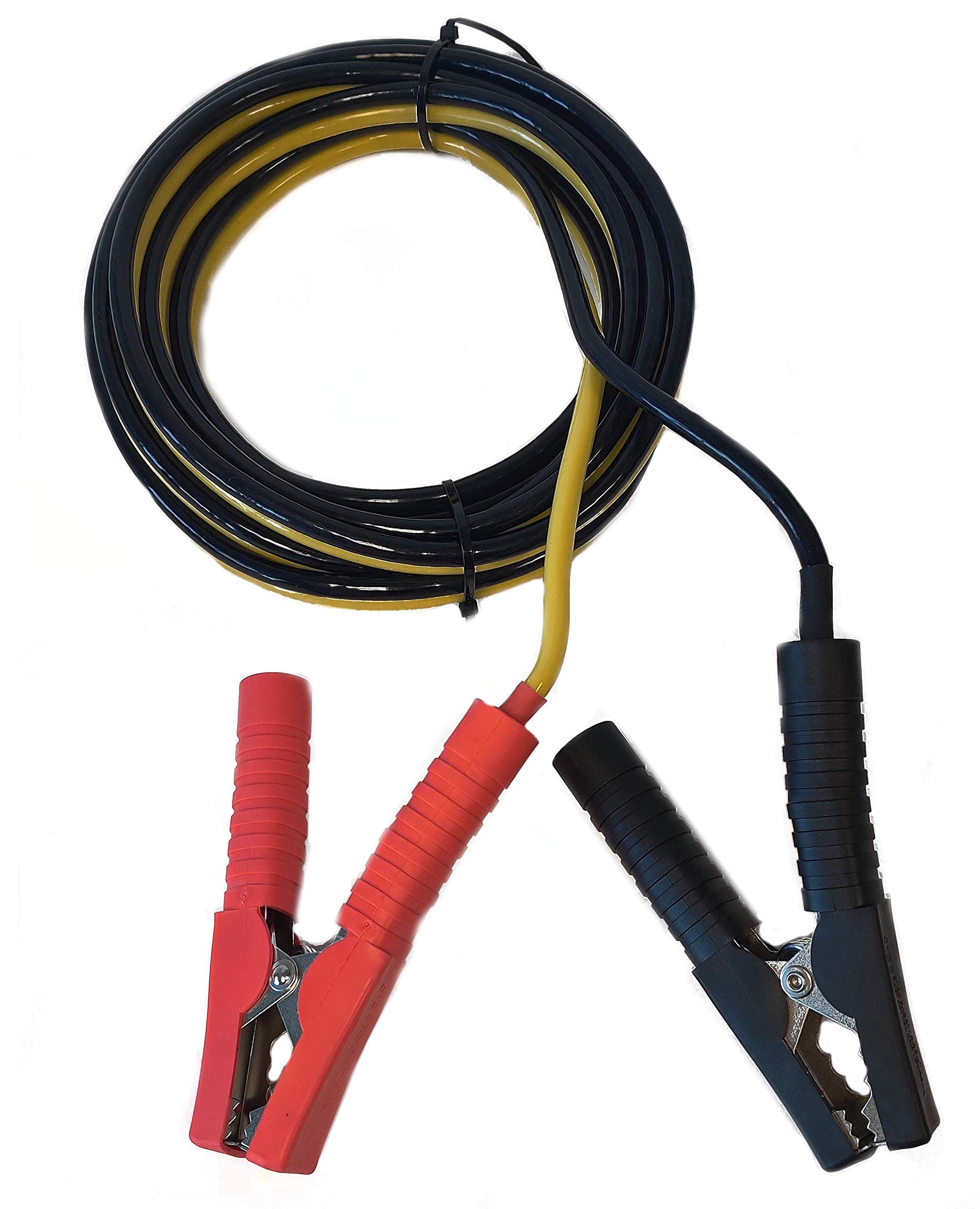 Mua PowerMax PMBC 100 Amp 12V Battery Charger/Maintainer, Flash