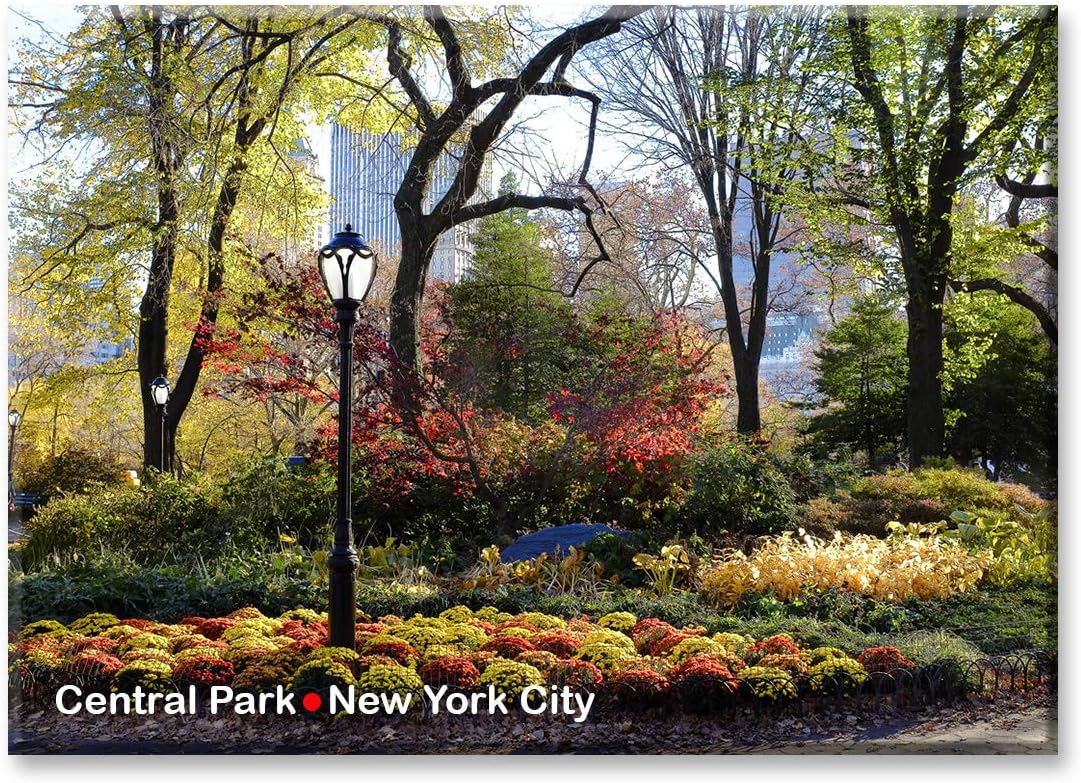 Best Central Park New York City Refrigerator Magnet