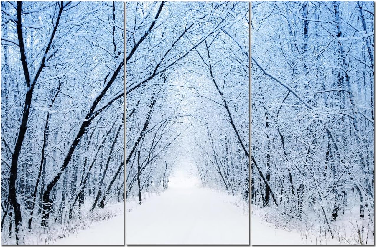 Forest Wall Art Decor - 3 Piece Set, Decorative Framed Winter Snow Tree Canvas Art Multi Panel Split Prints for Living Room, Kitchen, Bedroom, Office & Home Decor Gift