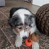 vise grip bully stick