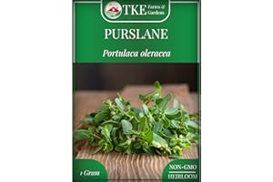 TKE Farms & Gardens Purslane Seeds for Planting - 1 Gram Packet, 2000+ Non-GMO Heirloom Seeds, High Germination, Edible & Medicinal, Heat & Drought-Tolerant, Easy-to-Grow Ground Cover, Qty 1