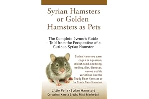 Syrian Hamsters or Golden Hamsters as Pets.