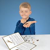 Science Kidz Mega Fossil Dig Kit - 20 Prehistoric Fossils STEM Educational Toy view 6