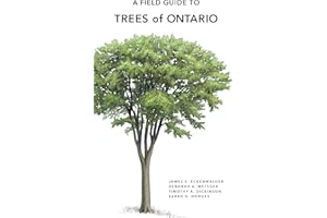 A Field Guide to Trees of Ontario