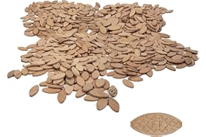 Milescraft 5455#FF Biscuits in a Bottle (1000 Pack) - Birch for woodjoining and Crafting