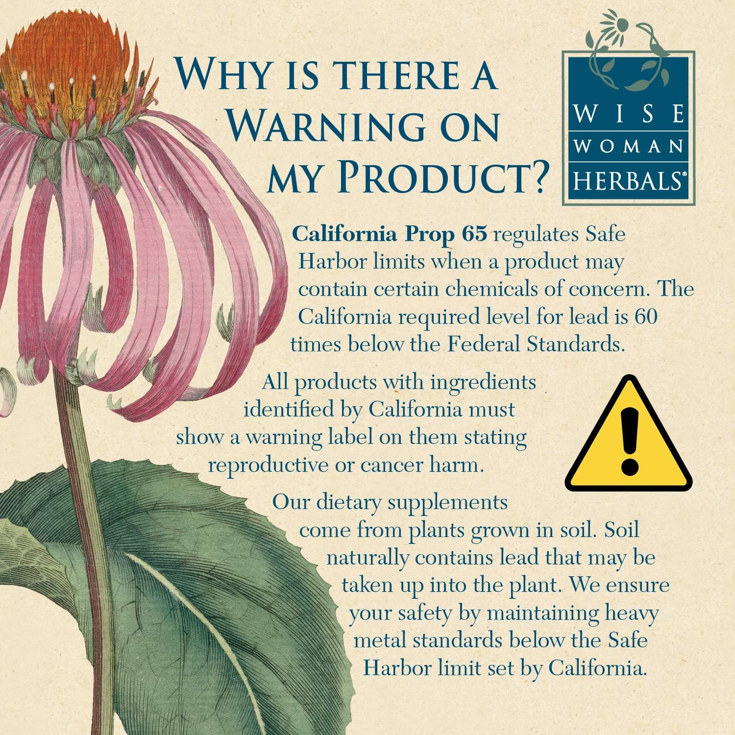 Wise Woman Herbals – Hawthorn Solid Extract – Supports Healthy Blood Pressure and Heart Function, All-Natural Supplement Promotes Cardiovascular Health and Muscles, Alcohol-Free - 4 oz: Health & Personal Care