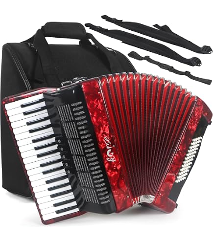 Amazon.com: Hohner Amica Forte IV 96 Chromatic Piano Key Accordion