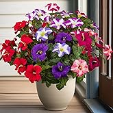 Brlita 19 Inch Artificial Fake Flowers for Outdoor,4 Pcs Faux Silk Petunias Spring Flowers for Outside for Indoor Porch Planter Front Door Garden Patio Window Box Home Decor(Multiple Color)
