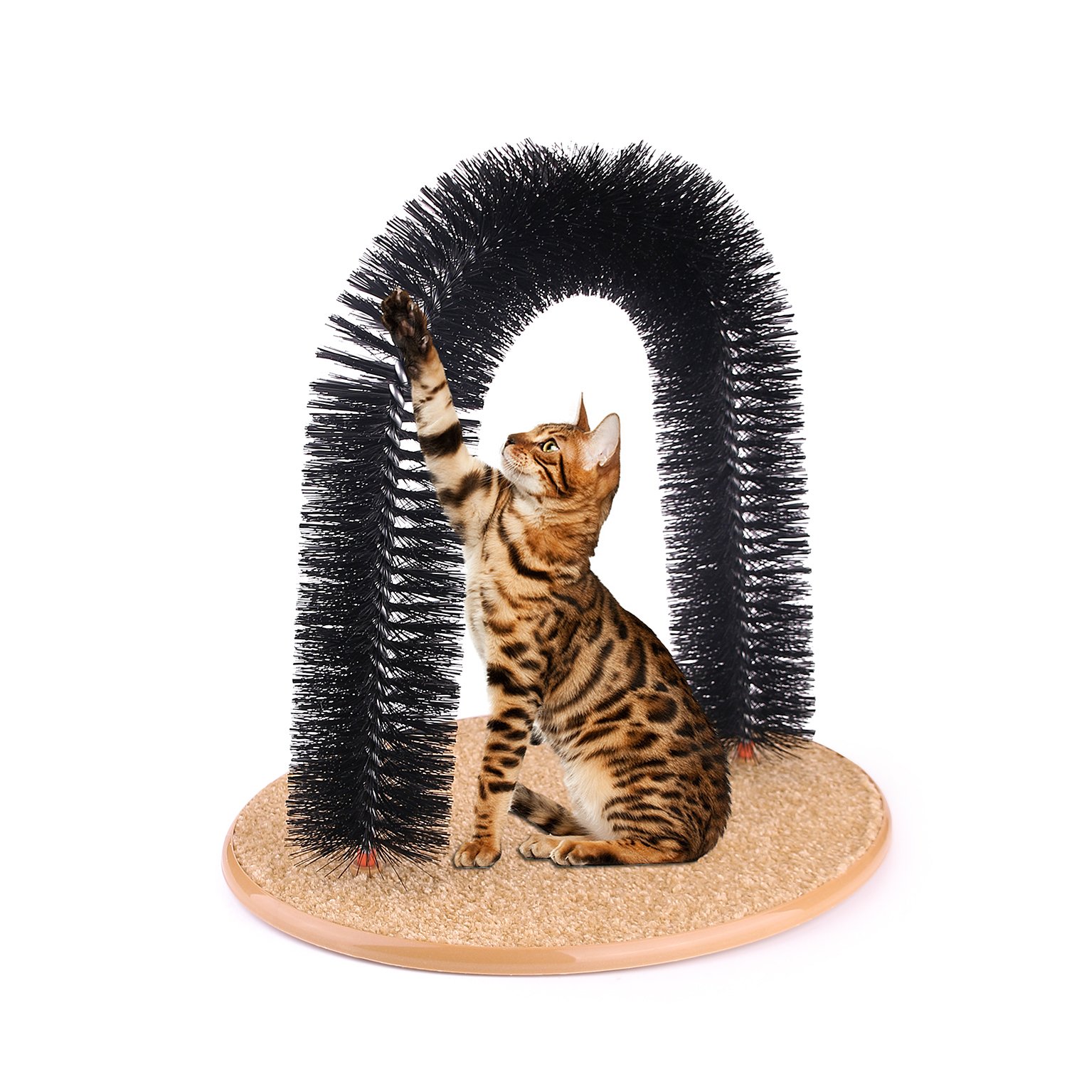 AikoPets Cat Arch Self Groomer Massager Groom Toy Dog Brushes Pet Cat Scratcher Toys Fur Grooming Cat Toy Brush Controls Shedding with Scratch Pad and Catnip Interactive Kitten Toys: Beauty