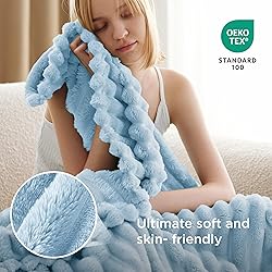 Bedsure Blue Fleece Blanket for Couch - GentleSoft