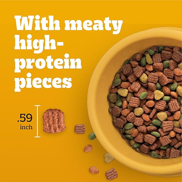 PEDIGREE HIGH PROTEIN ADULT DRY DOG FOOD BEEF AND LAMB FLAVOR DOG KIBBLE, 3.5 LB. BAG