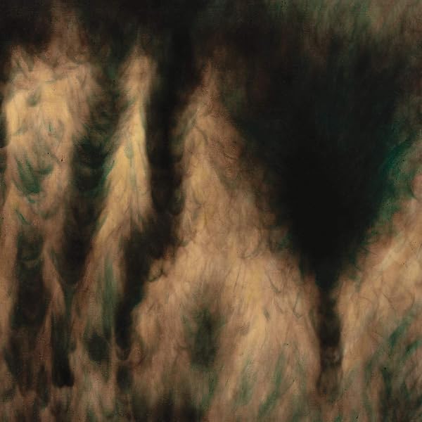 William Basinski - CASCADE - Amazon.com Music