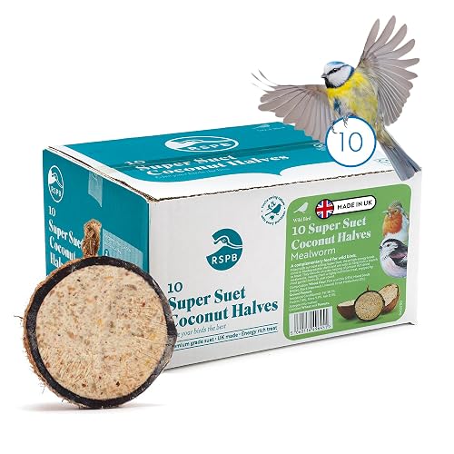 Coconut Bird Feeder Halves, Wild Bird Food for Small Birds with Suet, Dried Mealworms, Seeds, and Cereals, High Energy Food, Filled in the UK, Suitable for Year-Round Feeding - RSPB x 10 (320g)