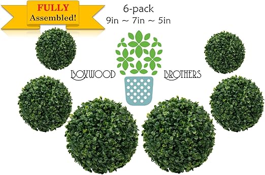 Amazon Com Boxwood Brothers Topiary Balls 6 Pack 2 Each 9 7 5