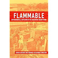 Flammable: Environmental Suffering in an Argentine Shantytown book cover