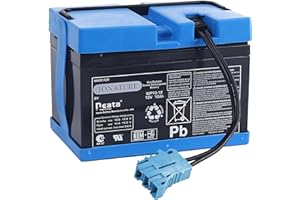 JONATURE 12 Volt 12Ah Battery for Peg Perego Taurus Utility Truck for Polaris Slingshot for Polaris RZR 900 for John Deere Gator XUV for Gaucho Rock'in Children Ride on Car