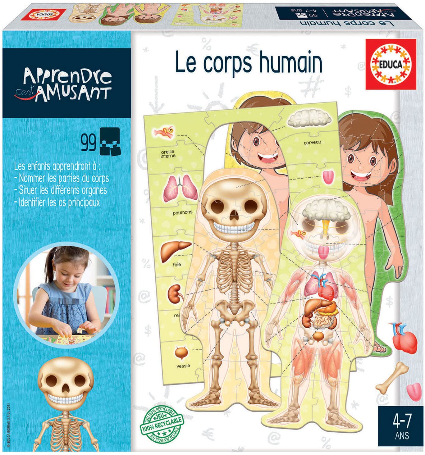 Educa Learning Is Fun Human Body Educational Game for Children Aged 4+ Ref. 18831 Multicoloured