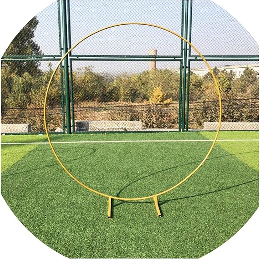 Amazon Satoshi Dun ウェディングアーチ背景 錬鉄板 装飾小道具 Diy ラウンドパーティー背景 板フラワー フレーム付き 2m ゴールド 造花 オンライン通販