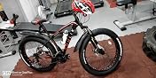 Buy ROULIK Avalanche Fat Bike | 26 