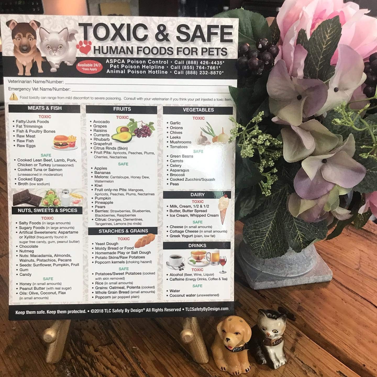 Amazon Com Premium Toxic And Safe Foods Poison For Pets Dogs Cats