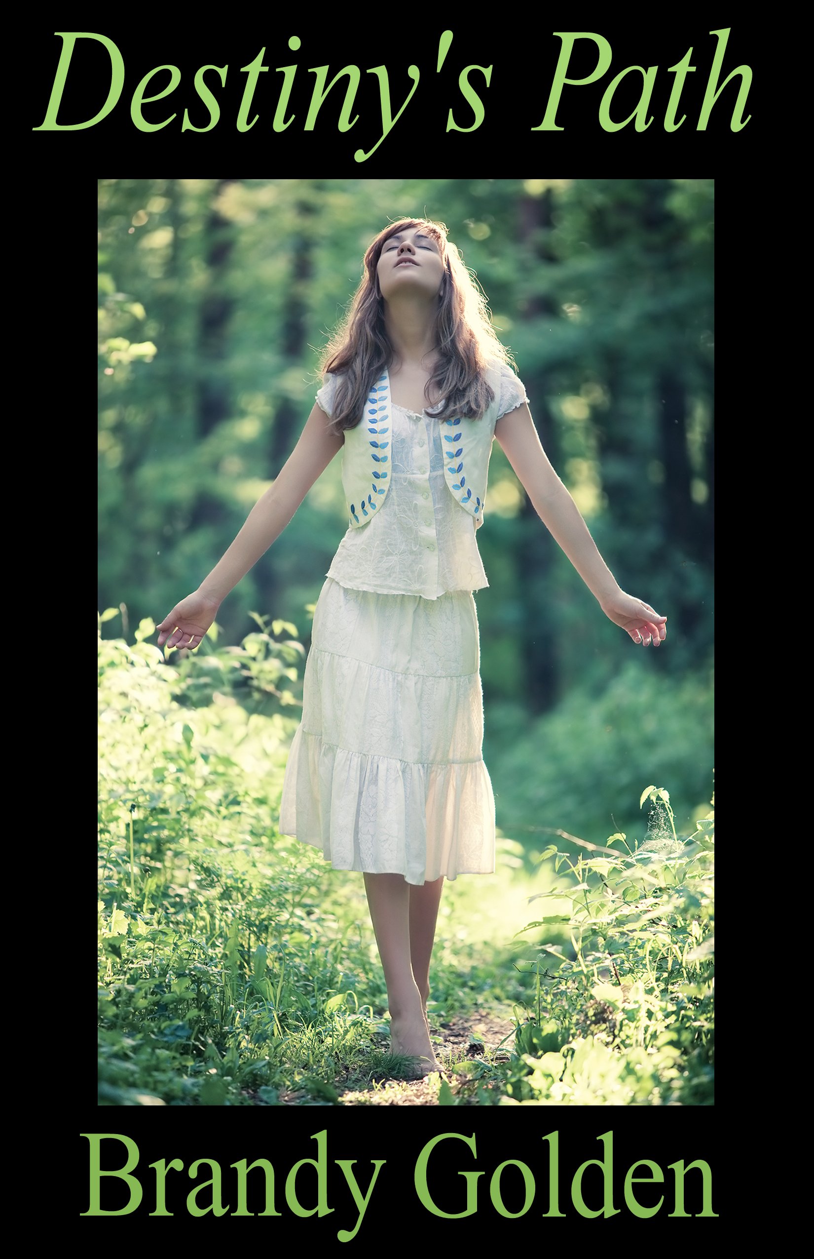 Destinys Path Brandy Golden 9781608502561 Amazoncom Books - 