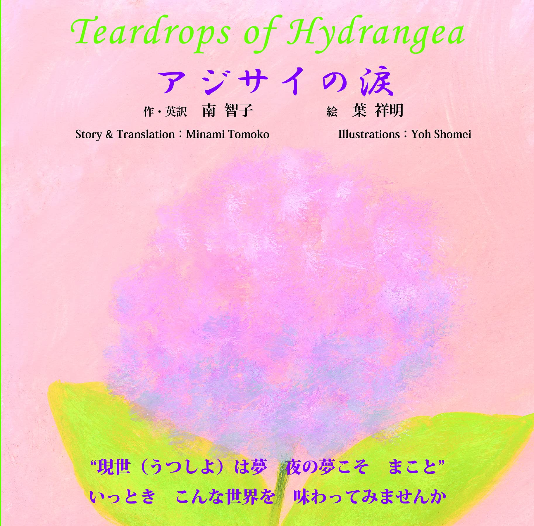 アジサイの涙 南智子 葉祥明 本 通販 Amazon