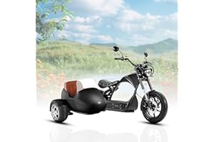 eAhora M1P Pro Electric Motorcycle for Adults 4000W 50MPH 55 Miles Long Range Electric Motorcycle, 60V 42AH Battery Dual Battery 110 Miles Hydraulic Brake Street Legal Electric Motorcycle