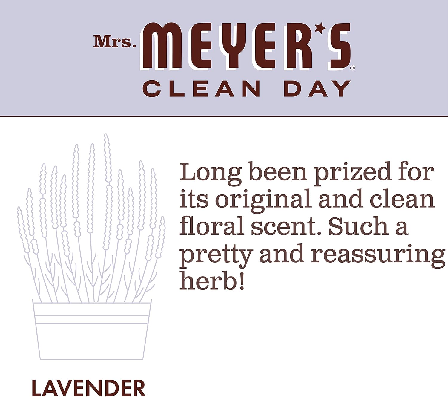 Mrs. Meyer's Clean Day Liquid Dish Soap, Cruelty Free Formula, Lavender Scent, 16 oz- Pack of 3: Health & Personal Care