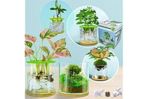 AZOIITO 4 in 1 Plant Propagation Station Hydroponic Vase Planter Pot,Indoor Glass Terrarium Planter,Fresh Herb Garden Grow Kit,Home Office Decor,Christmas Birthday Gift for Gardener Women Parents Garden Lover