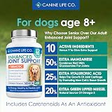 Canine Life Co Senior Enhanced Hip & Joint Support 120 Chewable Tablets UK view 3