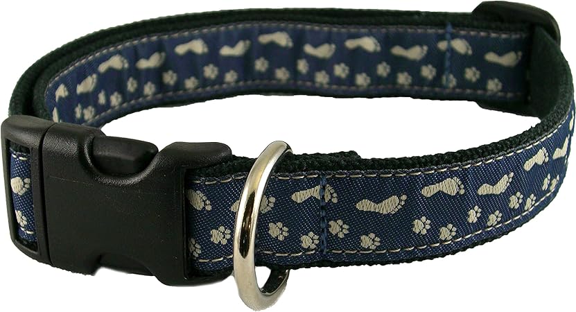the dog collar company