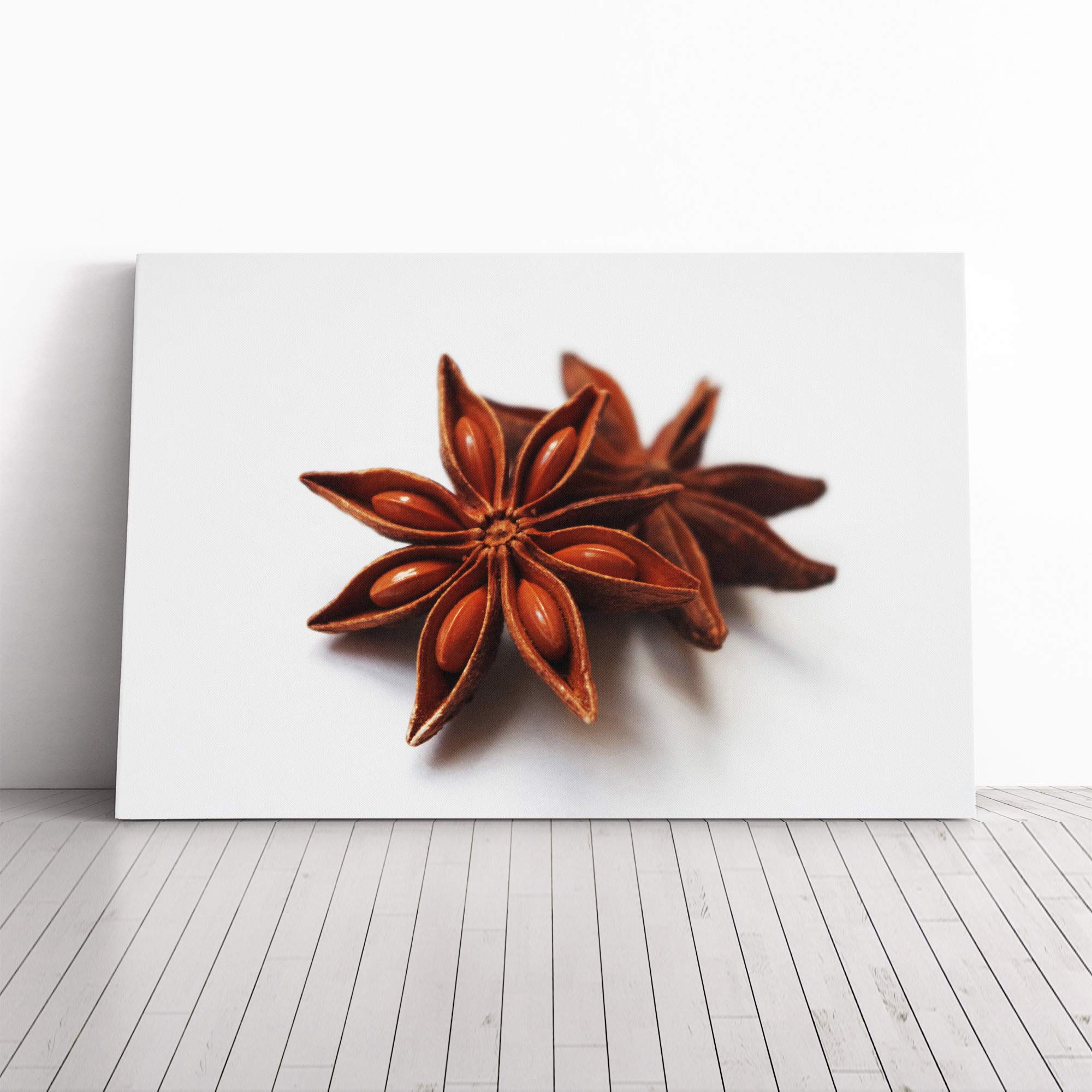 Star Anise Canvas Print | Gallery Wrapped 30mm Frame Wall Art | 20x14 inches | Ready to Hang | Modern Space Picture | Living Room Bedroom Lounge Office