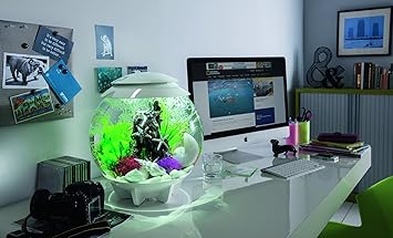 Oase biOrb Deko Aquarium Halo 30 mit LED - 30 Liter Weiss