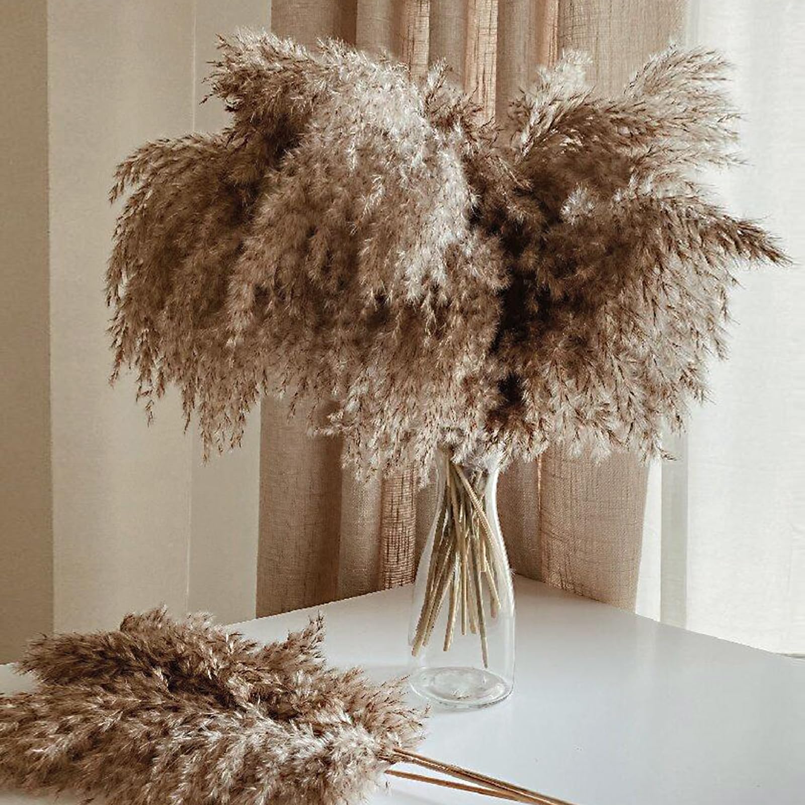 Photo 1 of 30 Stems Home Decor - Natural Dried Pampas Grass, Fluffy Brown Pompas Grass, Dry Small Pampas Bulk for Living Room Table Decor, Boho Decor, Party Wedding Decor , Gift(17.7 inch, 30 Brown )