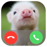 Pig Call Prank