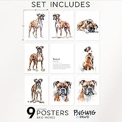 BigWig Prints - Boxer Dog Wall Decor, Boxer Lover
