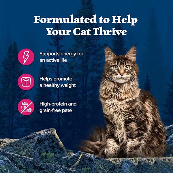 BLUE BUFFALO WILDERNESS NATURAL HIGH-PROTEIN GRAIN-FREE WET FOOD FOR ADULT CATS, SALMON PATÉ, 3-OZ. CANS, 24 COUNT