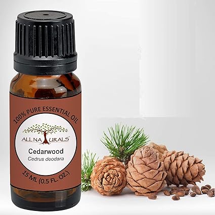 All Naturals 100% Pure Cedarwood Essential Oil - 15ML (Himachal) for Hair, Skin & Aroma